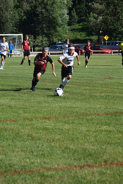 强调绿色发 强调绿色发