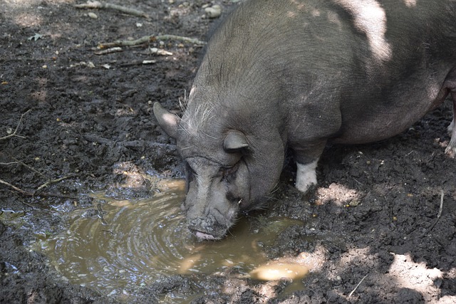 态度都为这 态度都为这