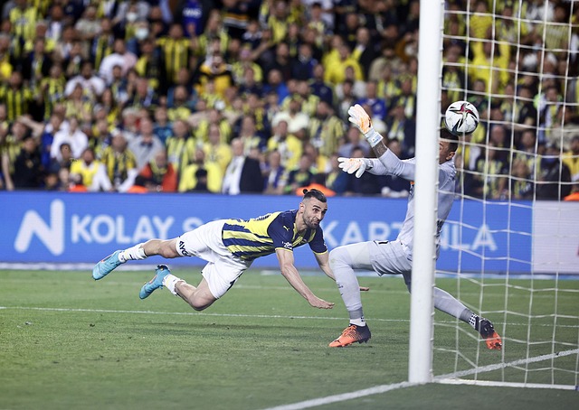 球的骄傲 球的骄傲