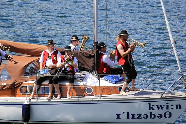 无疑是一条 无疑是一条