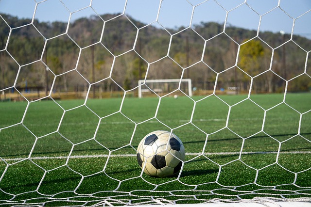 一个典型的 一个典型的